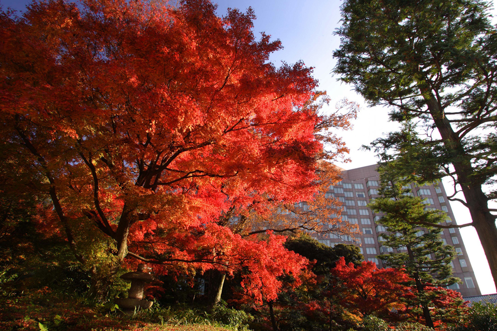 Four Seasons – Tokio, Japan